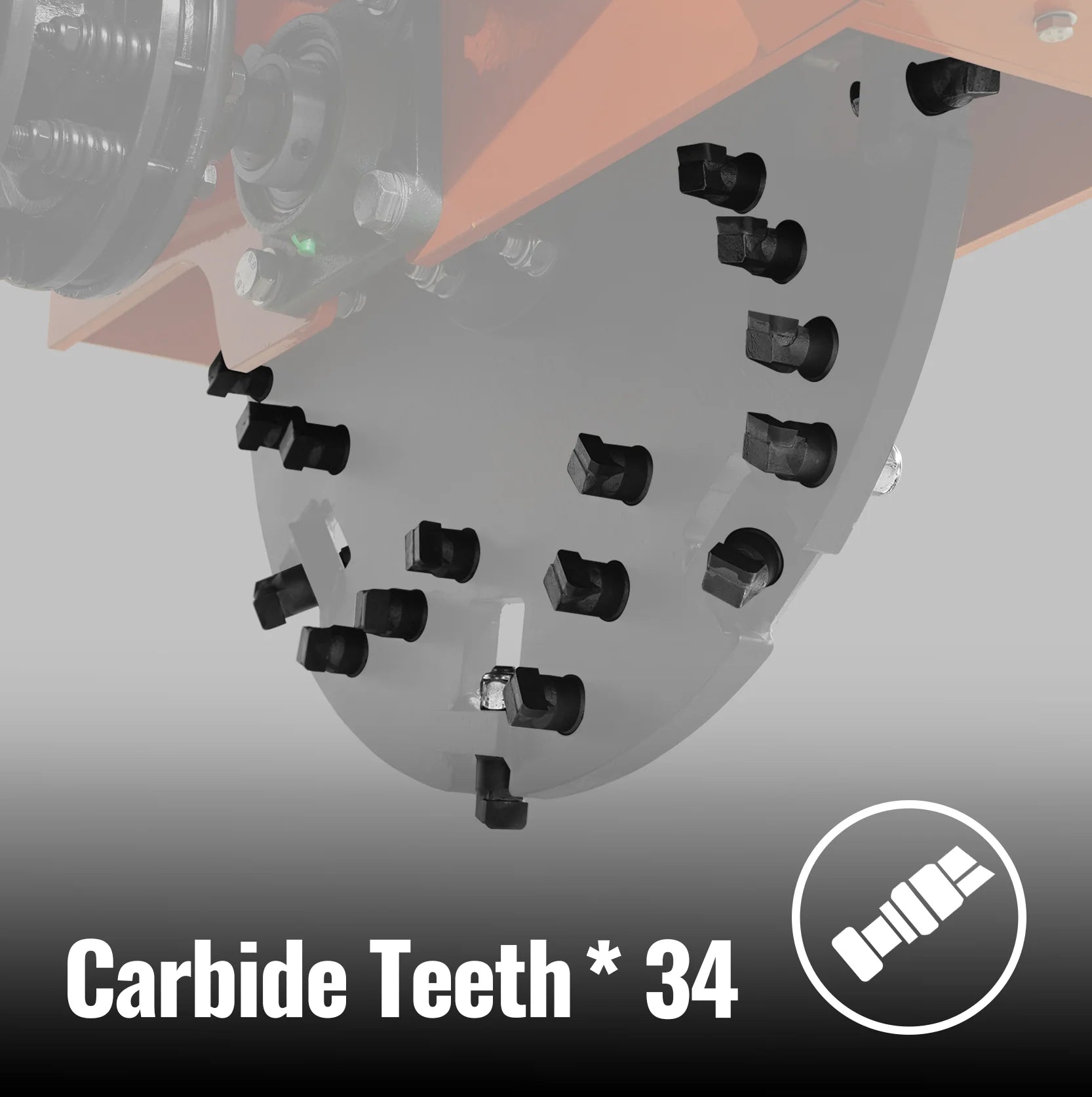 34 Tungsten Carbide Teeth